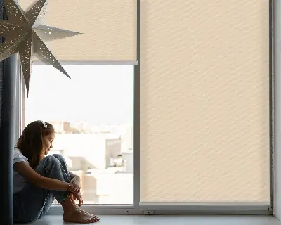 Fenster rollo Beige