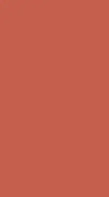 Rollo lichtundurchlässig Rot