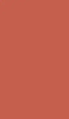 Rollo lichtundurchlässig Rot