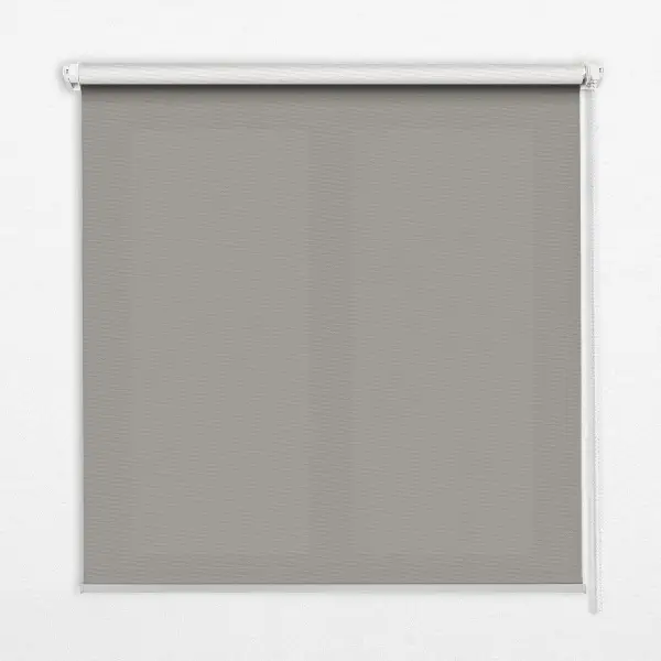 Fenster rollo Grau