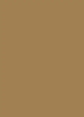 Rollo lichtundurchlässig Braun