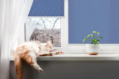 Fenster rollo Blau