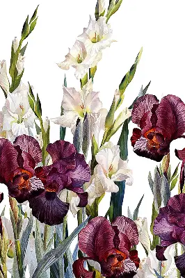 Rollo lichtundurchlässig Kleine Blümchen