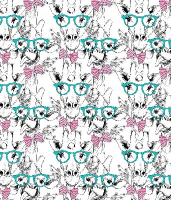 Fenster rollo Giraffe mit Brille