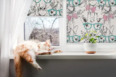 Fenster rollo Giraffe mit Brille