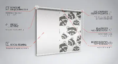 Fenster rollo Gezeichnete Waschbären