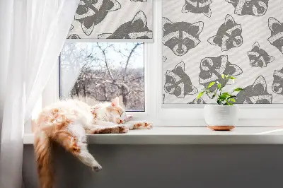 Fenster rollo Gezeichnete Waschbären