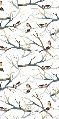Verdunkelungsrollo Vögel auf einem Baum