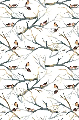 Verdunkelungsrollo Vögel auf einem Baum