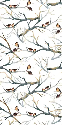 Verdunkelungsrollo Vögel auf einem Baum