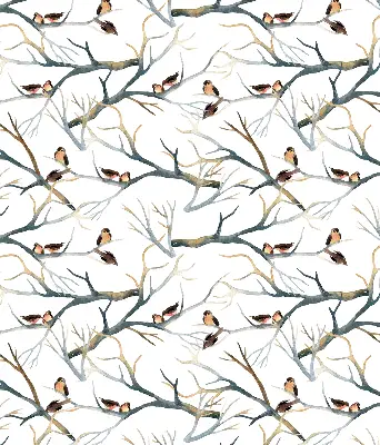 Verdunkelungsrollo Vögel auf einem Baum