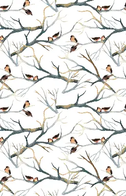 Verdunkelungsrollo Vögel auf einem Baum