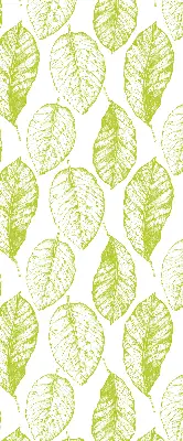 Rollo lichtundurchlässig Limettenblätter