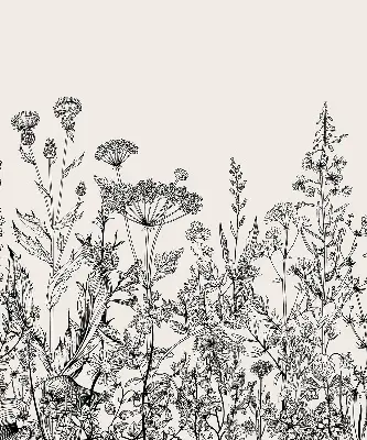 Verdunkelungsrollo Graue Blumen
