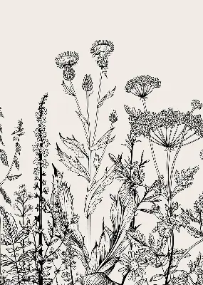 Verdunkelungsrollo Graue Blumen