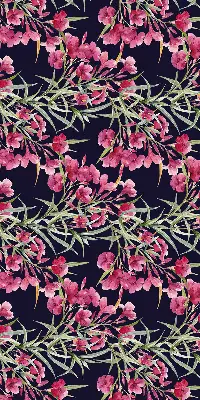 Fenster rollo Exotische Blume