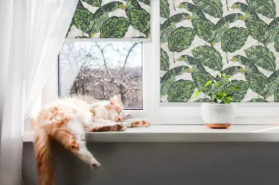 Fenster rollo Exotische Blätter