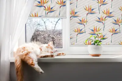 Rollo lichtundurchlässig Bunte Blätter