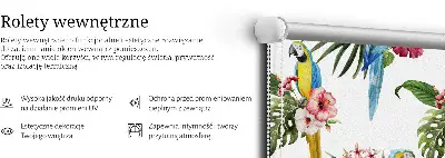 Rollo lichtundurchlässig Papagei auf Blumen