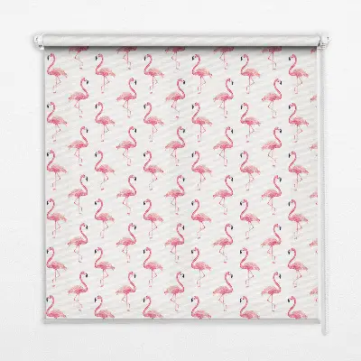 Fenster rollo Flamingos