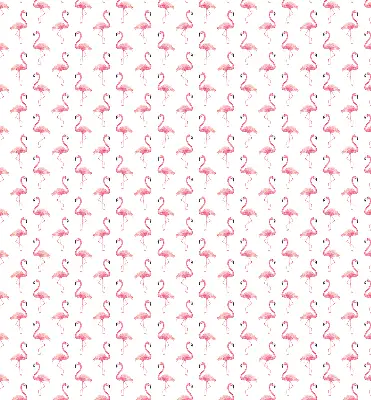 Fenster rollo Flamingos