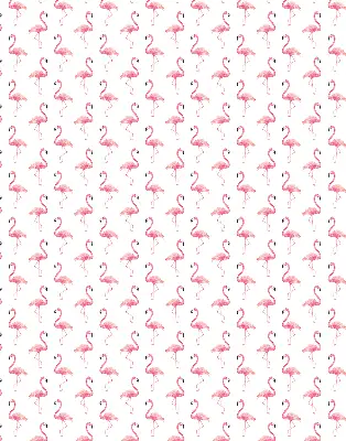 Fenster rollo Flamingos