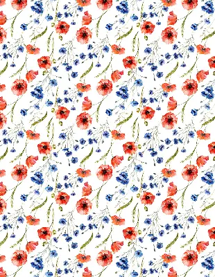 Rollo lichtundurchlässig Mohn