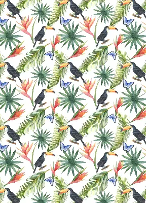 Verdunkelungsrollo Tukane auf Blumen
