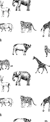 Verdunkelungsrollo Tiere