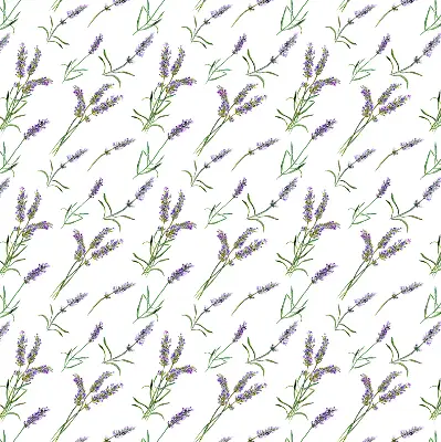 Rollo lichtundurchlässig Lavendel