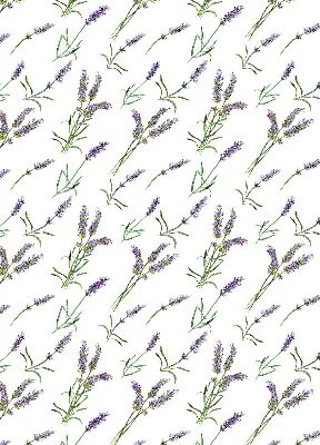 Rollo lichtundurchlässig Lavendel