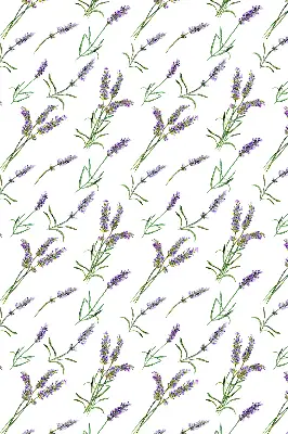 Rollo lichtundurchlässig Lavendel