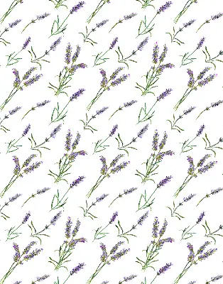 Rollo lichtundurchlässig Lavendel
