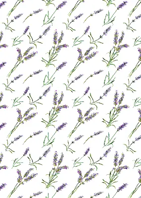 Rollo lichtundurchlässig Lavendel