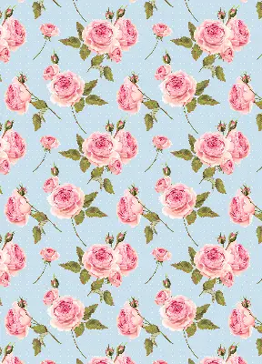 Verdunkelungsrollo Rosen