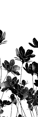 Verdunkelungsrollo Schwarze Blüten