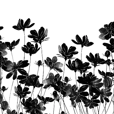 Verdunkelungsrollo Schwarze Blüten