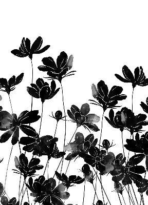 Verdunkelungsrollo Schwarze Blüten