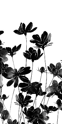 Verdunkelungsrollo Schwarze Blüten
