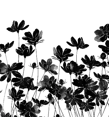 Verdunkelungsrollo Schwarze Blüten