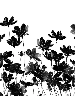 Verdunkelungsrollo Schwarze Blüten