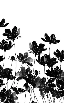 Verdunkelungsrollo Schwarze Blüten