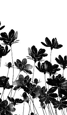 Verdunkelungsrollo Schwarze Blüten