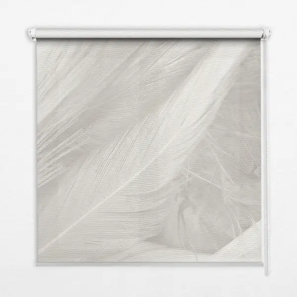 Fenster rollo Federn