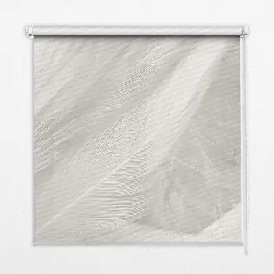 Fenster rollo Federn