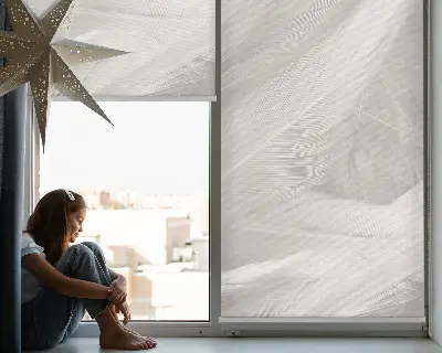 Fenster rollo Federn