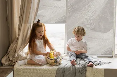 Fenster rollo Federn