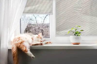 Fenster rollo Federn