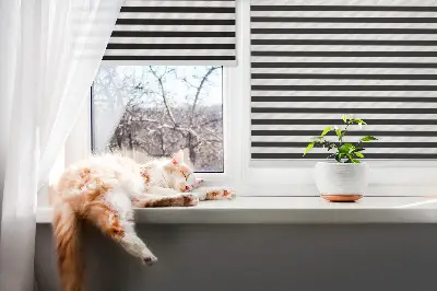 Fenster rollo Schwarze Streifen