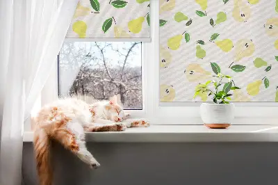 Rollo lichtundurchlässig Birnen